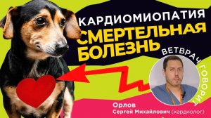 Это заболевание уносит жизнь каждого 6го питомца