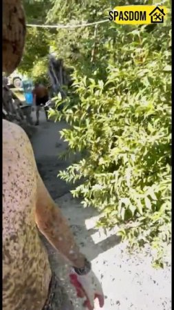 Стяжка дома от трещин 89384620642 #аварийныйдом #стройка #ремонт