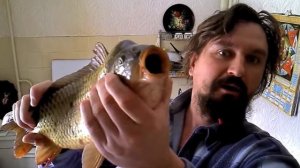 Alextime Алексей Макеев из Mexico 12.04.2024