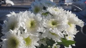 Приехал Муж. Покупки с Wildberries, OZON.