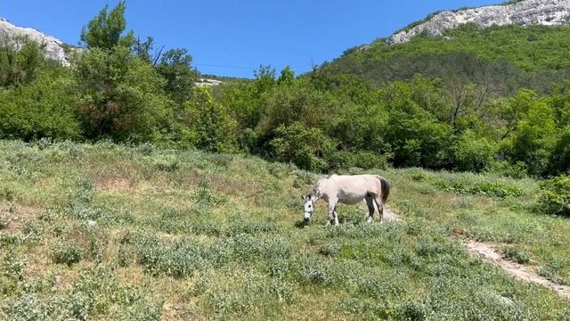 Озеро Мангупское - село Ходжа Сала | Кофе в походе