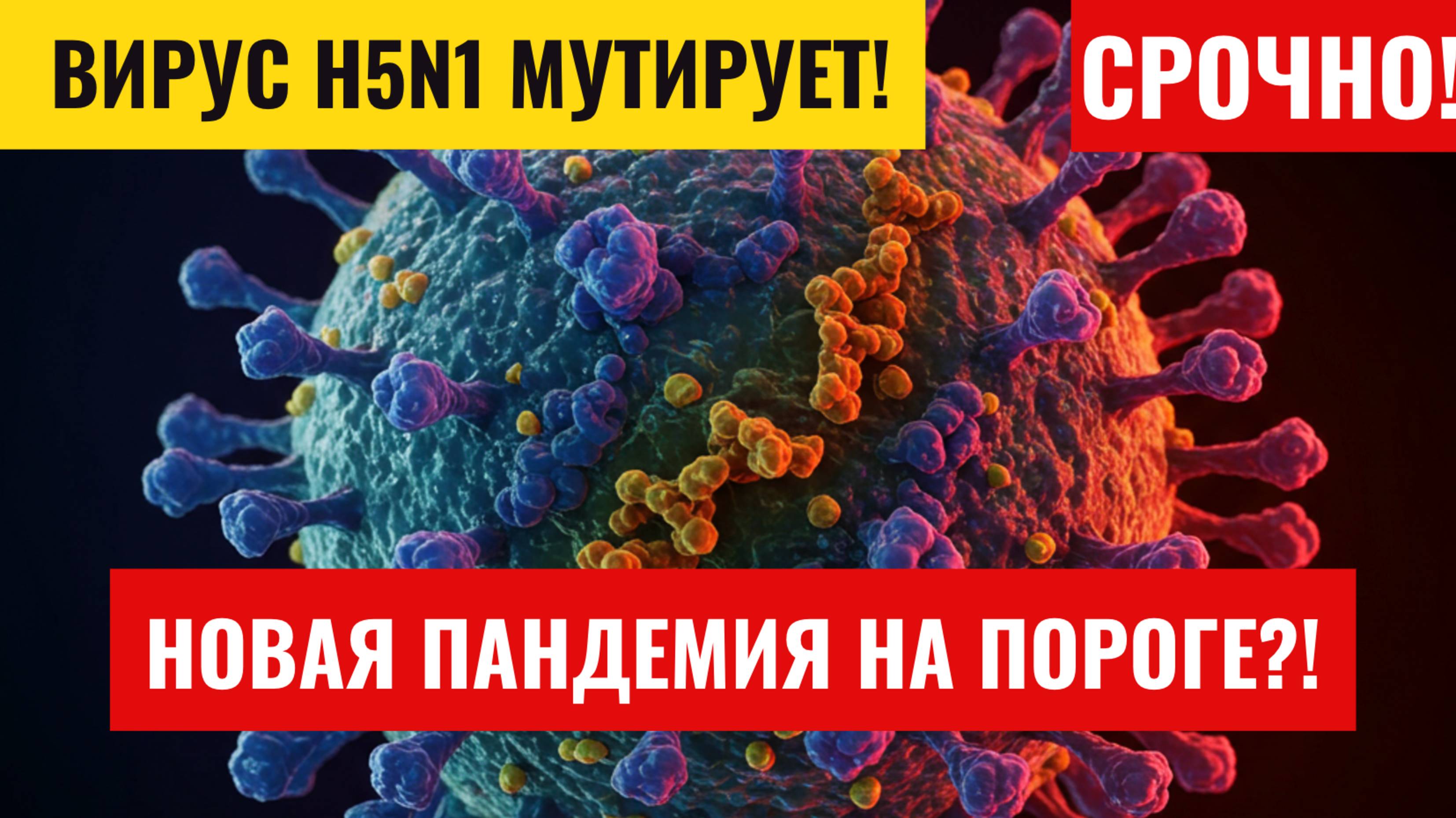 Заболевшие вирусом ланья в китае. Последние новости о вирусах. Мисанец новости ульяновска сегодня. Коронавирус в великобритании. Последние новости о вирусах.