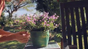 комфортный сад