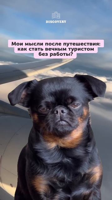 А какие мысли бывают у вас после путешествий? смотреть онлайн