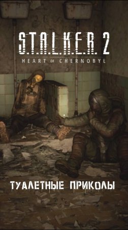 S.T.A.L.K.E.R 2 ПРИКОЛЫ В ТУАЛЕТЕ