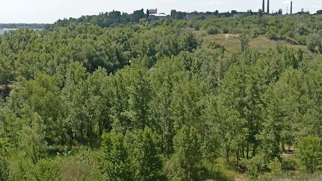 Река Мокрая Мечётка впадает в Волгу в районе посёлка Спартановка Волгоград, 30 июня 2023 года смотреть онлайн