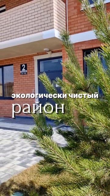 ТОП Предложение