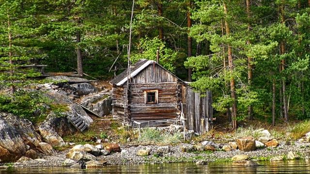 Звёздный океан тайги (вариация 4)