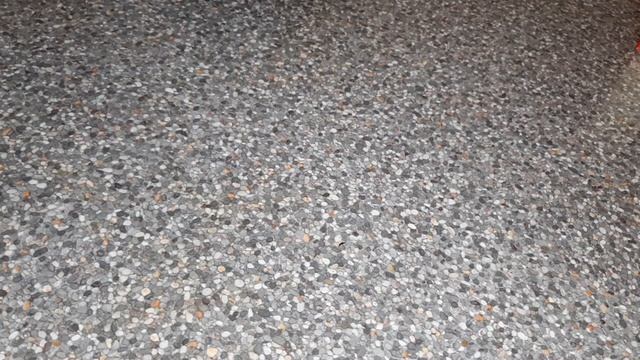 3 эффективных способа вывести и избавиться от муравьев подручными средствами смотреть онлайн