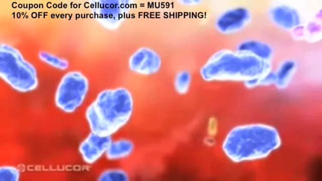 Cellucor P6 Extreme Testosterona Booster TPC (((www.1mr.com.br))) смотреть онлайн