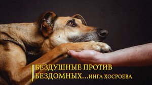БЕЗДУШНЫЕ ПРОТИВ БЕЗДОМНЫХ... ИНГА ХОСРОЕВА