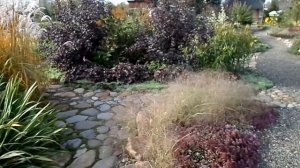 Сентябрь в саду