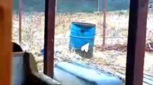 Огород Юшино