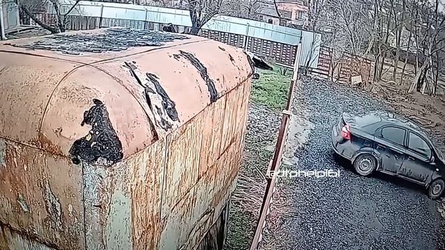 2024_дтпростов_забор