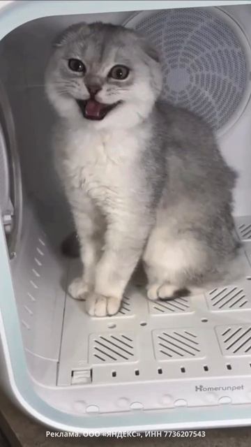 🐈Сушилка для питомцев.