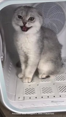 🐈Сушилка для питомцев.