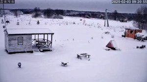 Сезон зимы 24-25