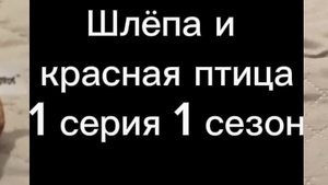 Шлёпа и подарки Шлёпа и красная птица 1 серия 1 сезон