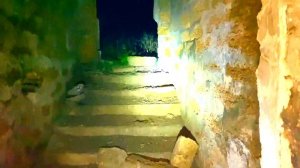 дом в поле (разбор)