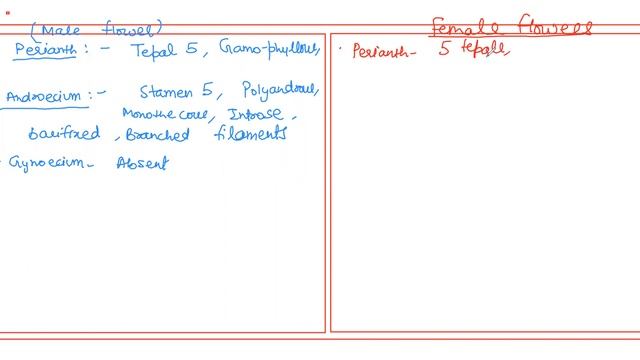 EUPHORBIACEAE FAMILY- FLORAL DESCRIPTION, FLORAL FORMULA, DIAGRAM, ECONOMIC IMPORTANCE