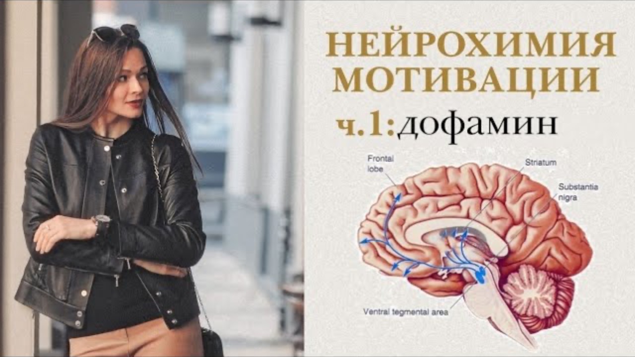 НЕЙРОХИМИЯ МОТИВАЦИИ: Дофамин. Достигать цели без откатов и срывов.