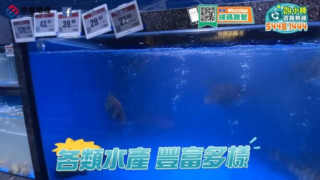 珠海白蕉招商花園城丨斗門片區最大商場 8月2號試營業 人氣旺到爆！丨超市/餐飲/娛樂一站式購物 超170家品牌商家入駐丨金枕榴蓮18.8蚊/斤超吸引！丨#珠海生活 #珠海樓盤【中居地產-灣區生活】
