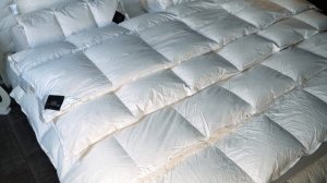 Одеяла гусиный пух 900