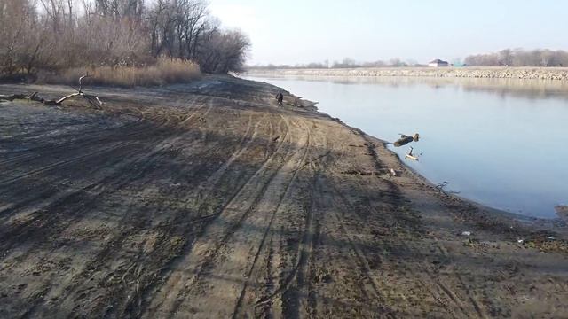 Велосипед против мотоцикла (Кубань Станица Елизаветинская)