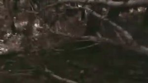 Дорога к себе (1984) (2 серия) фильм смотреть онлайн