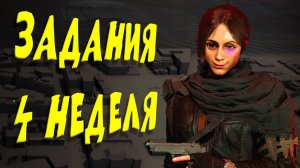 Облава Агент Келсо 4 Неделя Разведзадачи Груз Истины Tom Clancy’s The Division 2