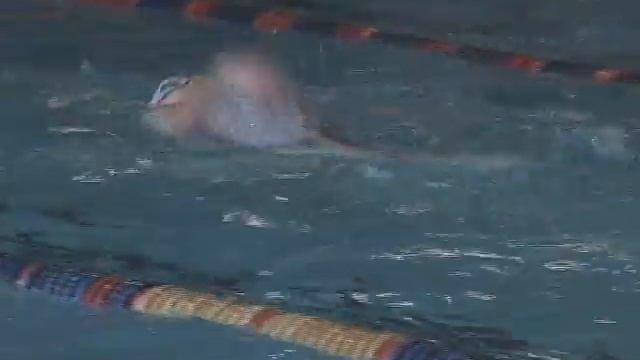 У юных пловцов кузнецкой ДЮСШ №1 закончился первый учебный год смотреть онлайн