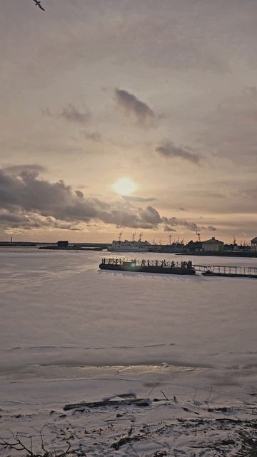 Кронштадт 17 марта 2025