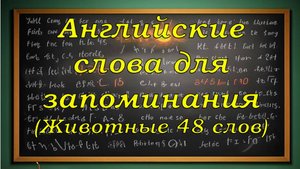 Запоминаем Английские слова (Животные 48 слов)
