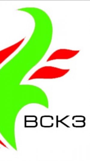 Автоматический котел ВСКЗ-ДУО -800 кВт