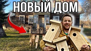 Живу на настоящем хуторе среди дикой природы. Построил 20 домиков. Эстафета #хочувдеревню