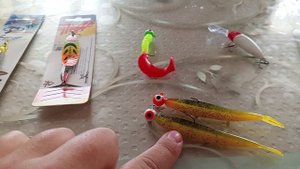 подготовка к летней рыбалке