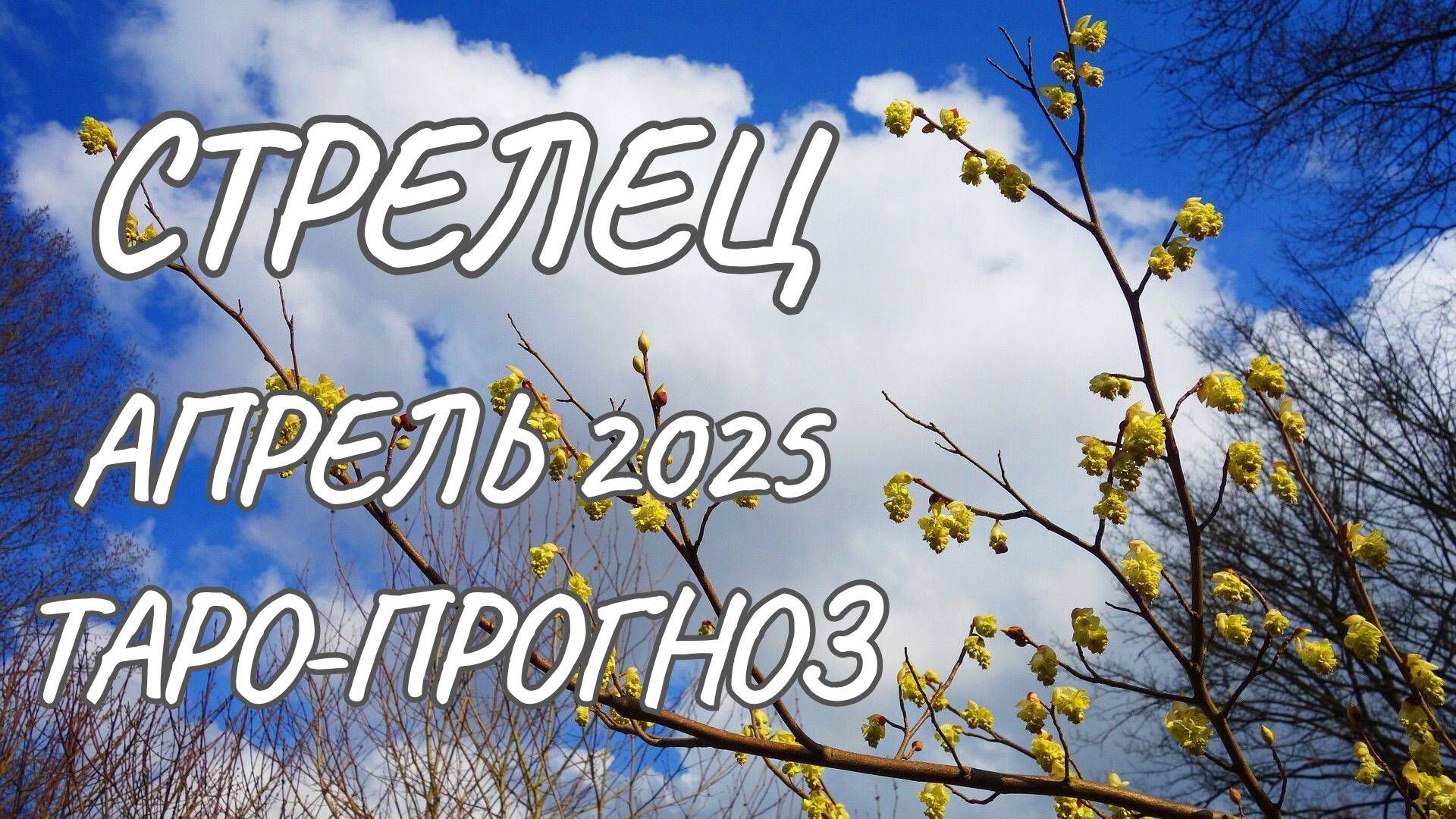 Стрелец ♐ Таро-прогноз на апрель 2025 года