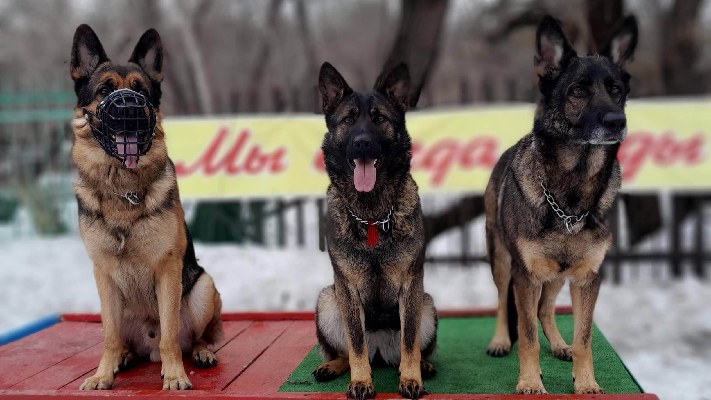 Мартовская встреча 2025