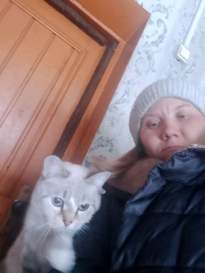 мои первые стрим