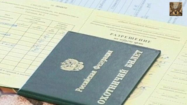 За не подачу сведений о добытой дичи откажут в праве на охоту смотреть онлайн