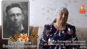 Сулейманов Валий Газизулович