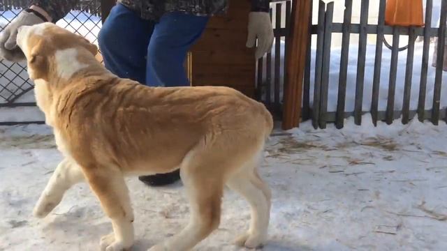 trim 314E320D 8FAB 4883 A69A AC5B96504342 смотреть онлайн