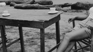 Sophie Zelmani  -  Not With You