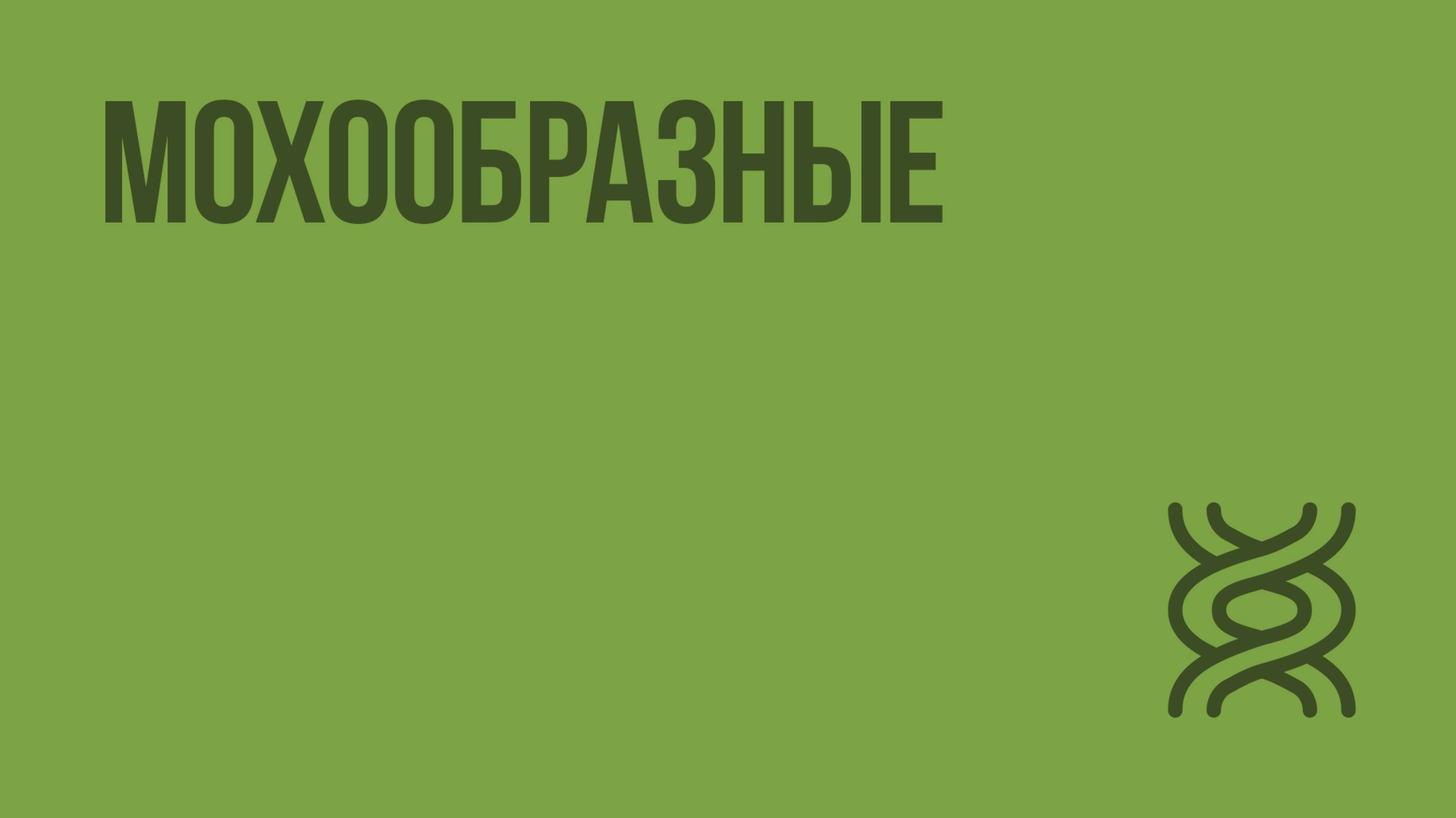 Мохообразные. Видеоурок по биологии 5 класс