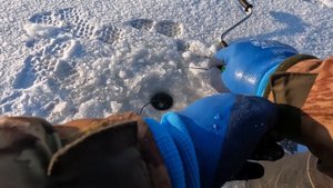 Чекалинское водохранилище #оренбургскаяобласть #отдых #регион56