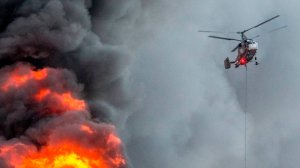 Природный пожар в Дагестане продолжают тушить спецтехникой. Огонь прошел 22 гектара лесного массива