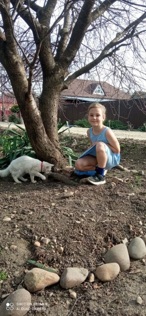 кот ик
кря