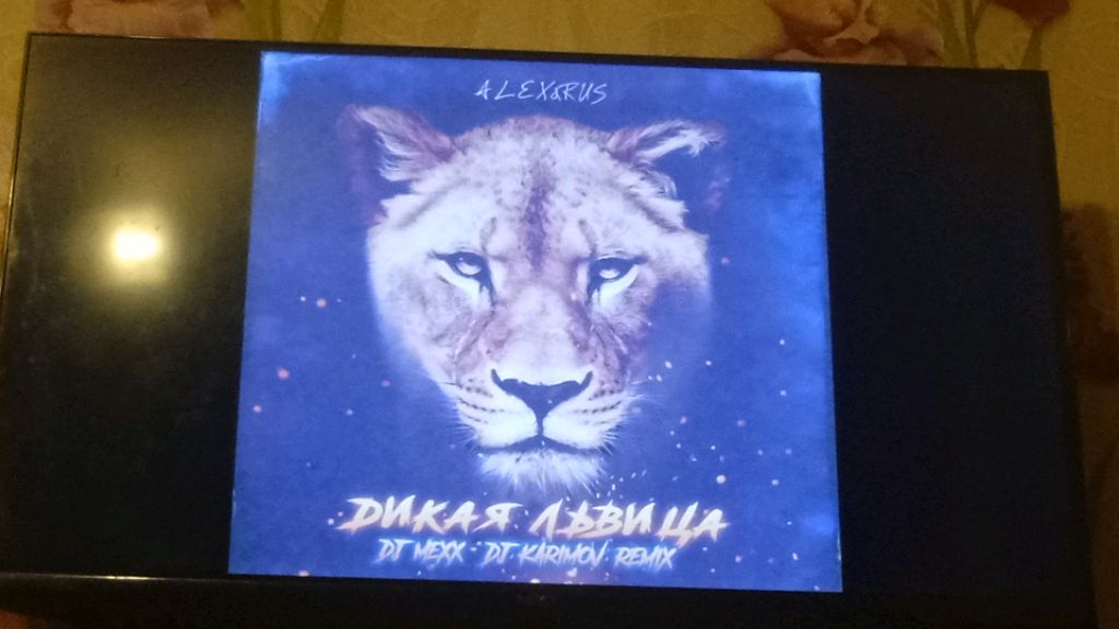 лапка смотреть онлайн