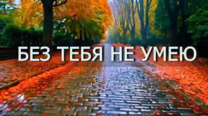 БЕЗ ТЕБЯ НЕ УМЕЮ. Стихи. Н. Нестерук, муз. Aleks Sher, вокал. Л. Великанова, звук. А. Макалиш