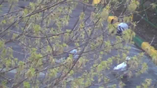 1-2 Юмагулов Анвер Мансурович о УСТАВЕ потребкооперации для избирательной программы